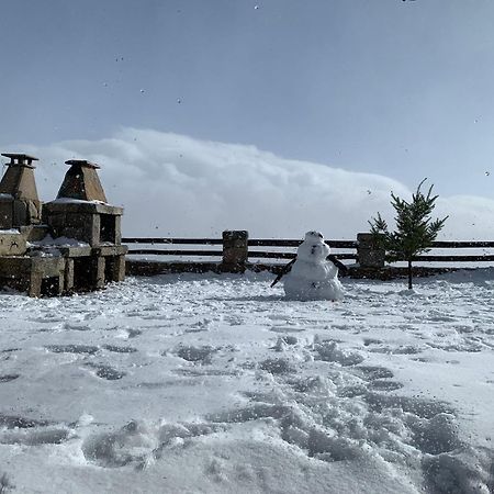 Mountain Chalet Covilha Bagian luar foto
